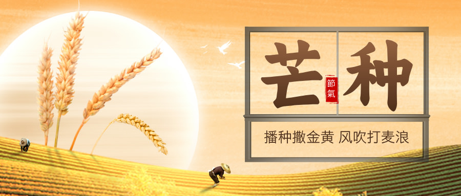 天堂VA蜜桃一区二区三区_国产日韩欧美
